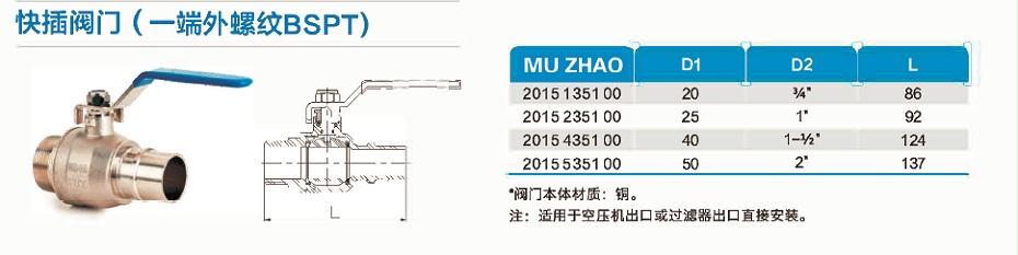 一端外螺紋BSPT快插閥門